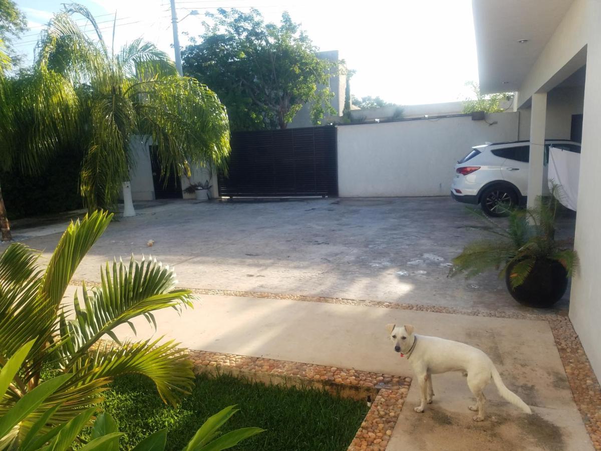 Casa Xcanatun Mérida Buitenkant foto