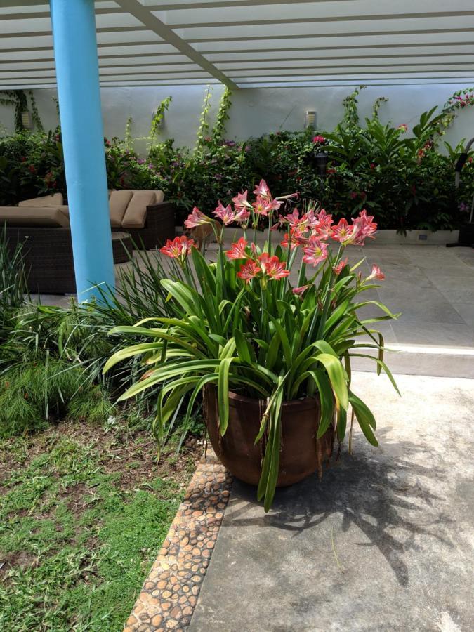 Casa Xcanatun Mérida Buitenkant foto